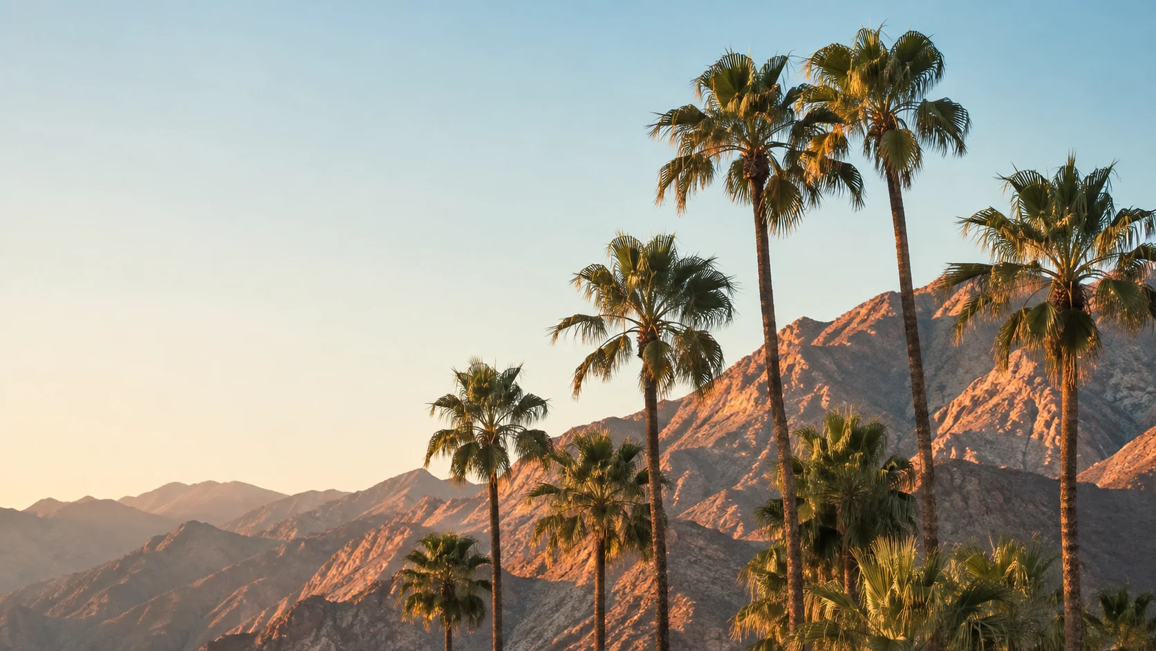 Golden-hour desert palms inspired by Palm Springs
